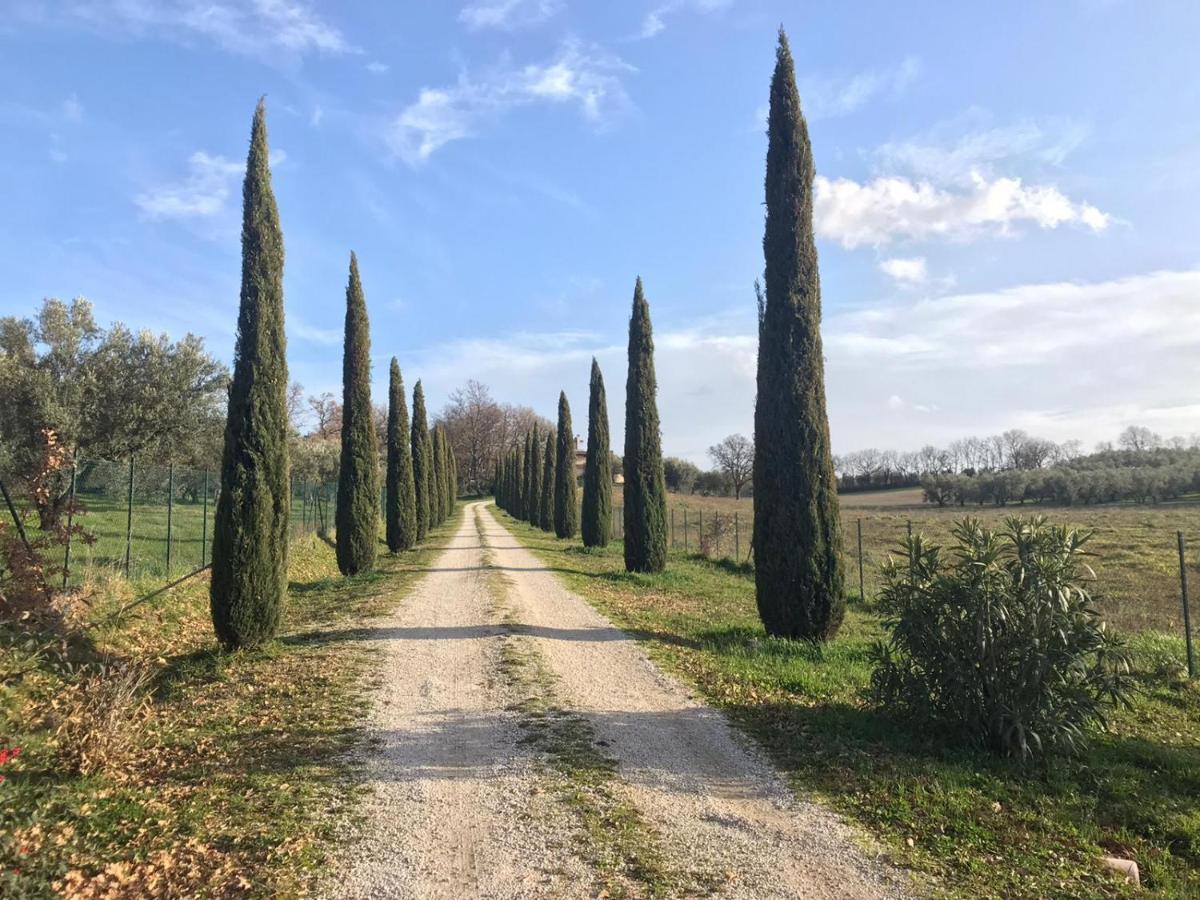 Agriturismo La Lampada Di Atena Vetralla Exterior photo